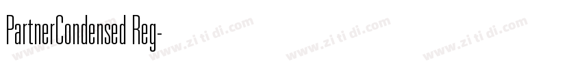 PartnerCondensed Reg字体转换